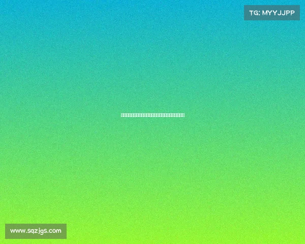 网球比赛设备全面解析：从球拍到场地设施的全方位介绍